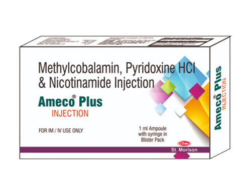 AMECO PLUS