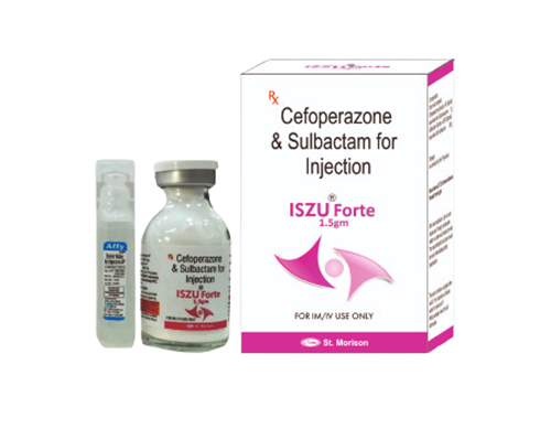 ISZU FORTE