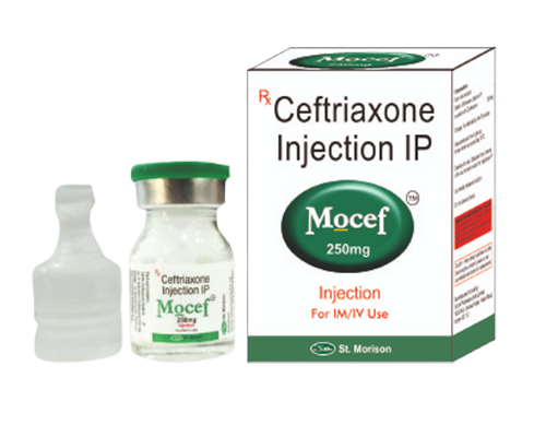 MOCEF