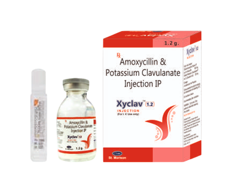 XYCLAV